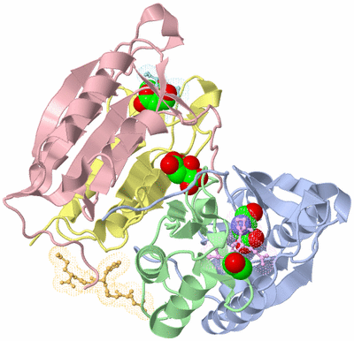 Image Asym./Biol. Unit