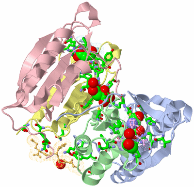 Image Asym./Biol. Unit - sites