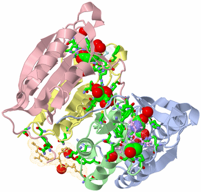 Image Asym./Biol. Unit - sites