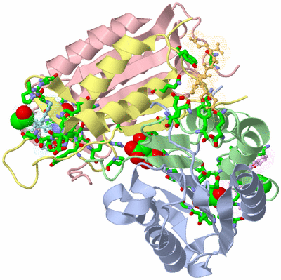 Image Asym./Biol. Unit - sites