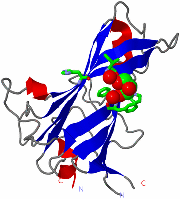 Image Asym. Unit - sites