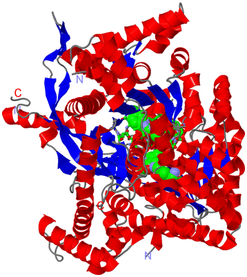 Image Asym. Unit - sites