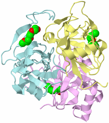Image Biological Unit 2