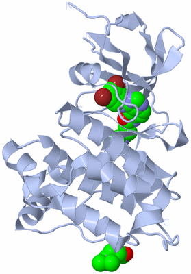 Image Biological Unit 1