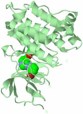 Image Biological Unit 2