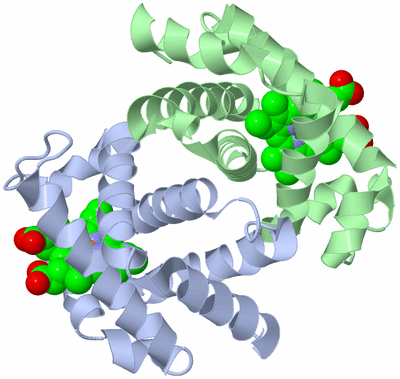 Image Biological Unit 1