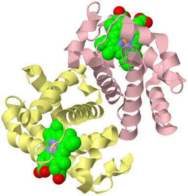 Image Biological Unit 2