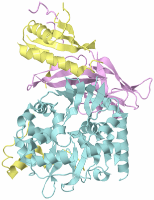 Image Biological Unit 2