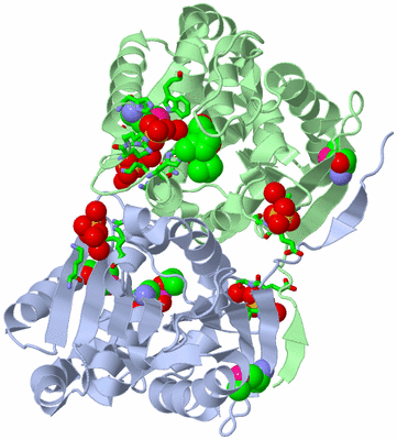 Image Biol. Unit 1 - sites