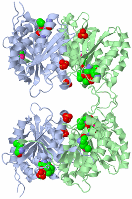 Image Biological Unit 2