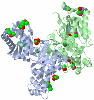 Image Biological Unit 1