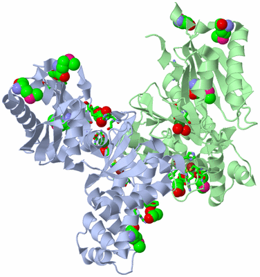 Image Biol. Unit 1 - sites