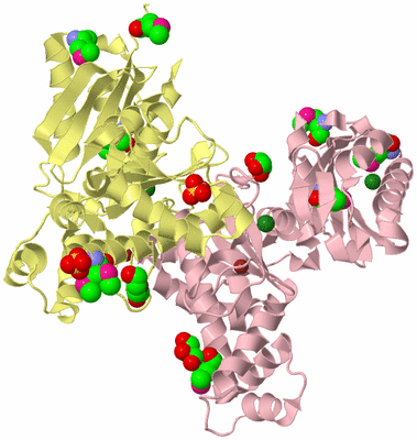 Image Biological Unit 2