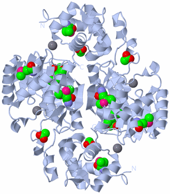 Image Biological Unit 1