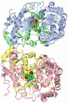 Image Biol. Unit 1 - sites