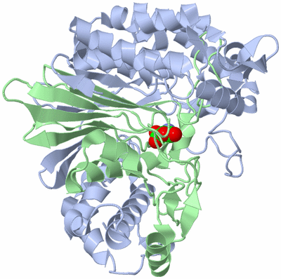 Image Biological Unit 2