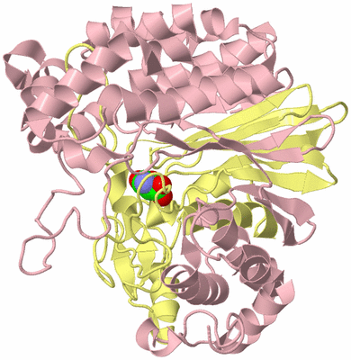 Image Biological Unit 3