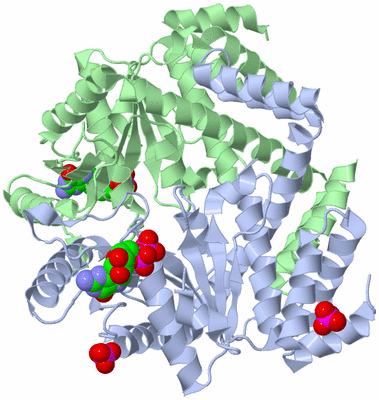 Image Asym./Biol. Unit