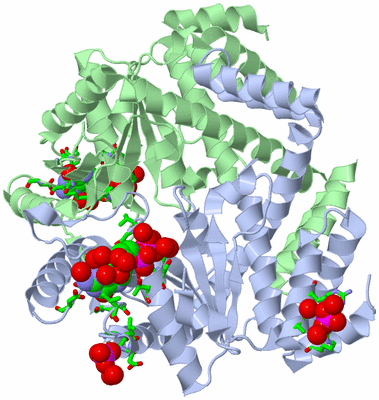 Image Asym./Biol. Unit - sites