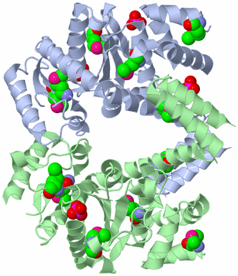 Image Asym./Biol. Unit