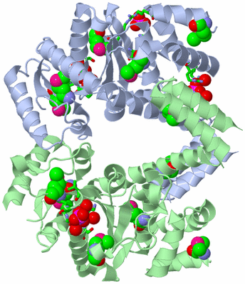 Image Asym./Biol. Unit - sites