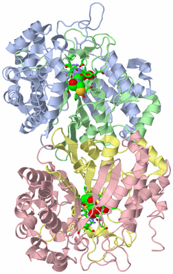 Image Biol. Unit 1 - sites