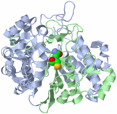 Image Biological Unit 2