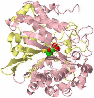 Image Biological Unit 3