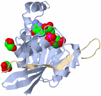 Image Biological Unit 1