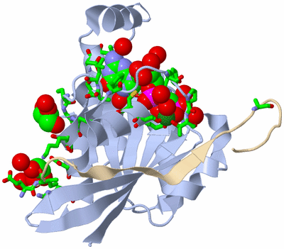 Image Biol. Unit 1 - sites