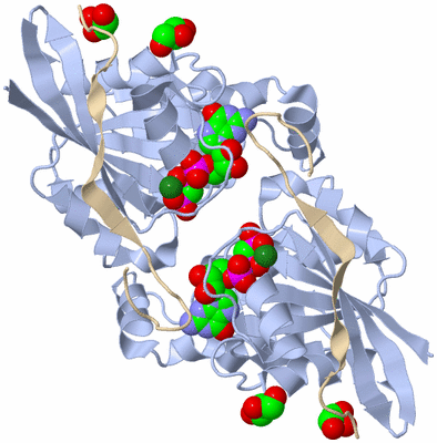 Image Biological Unit 2