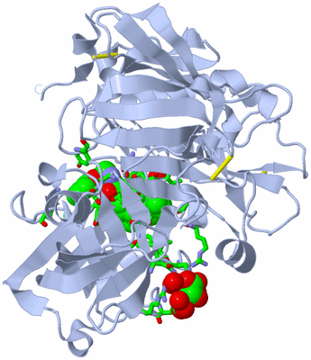 Image Biol. Unit 1 - sites