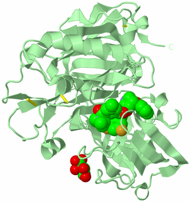 Image Biological Unit 2