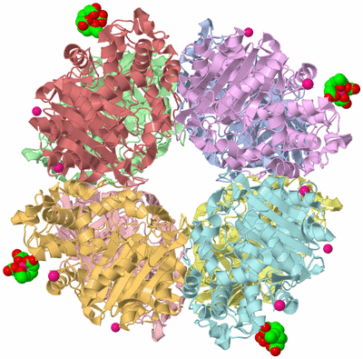 Image Asym./Biol. Unit