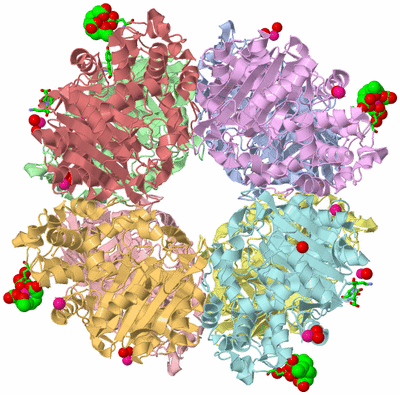 Image Asym./Biol. Unit - sites