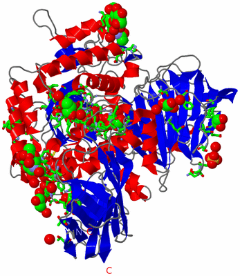 Image Asym./Biol. Unit - sites