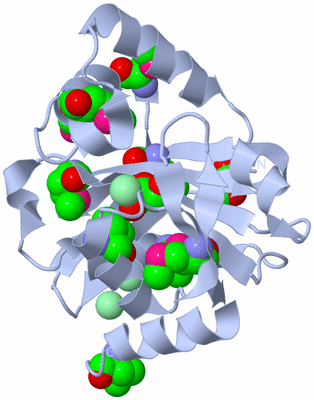 Image Biological Unit 1