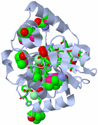 Image Biol. Unit 1 - sites