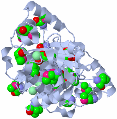 Image Biological Unit 2