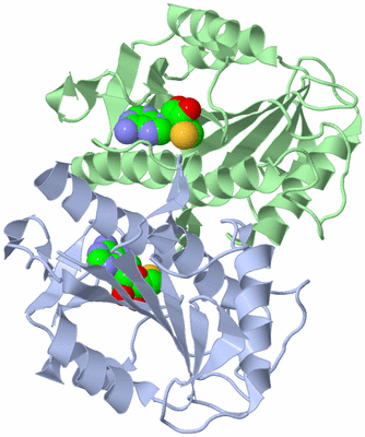 Image Asym./Biol. Unit