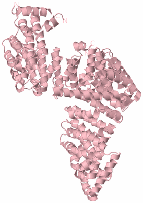 Image Biological Unit 3