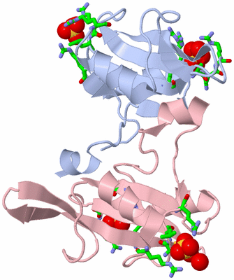 Image Biol. Unit 1 - sites