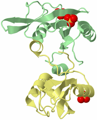 Image Biological Unit 2