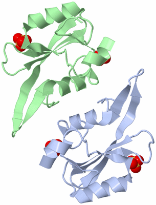 Image Biological Unit 3