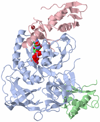 Image Biological Unit 1