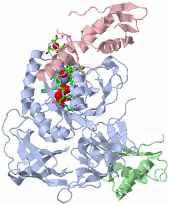 Image Biol. Unit 1 - sites