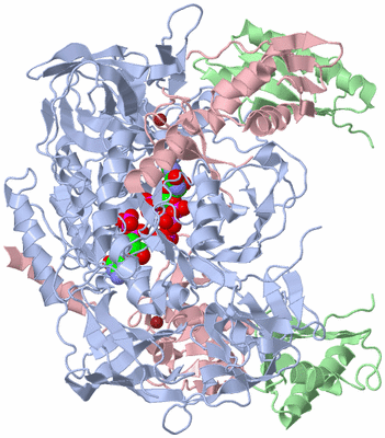 Image Biological Unit 2