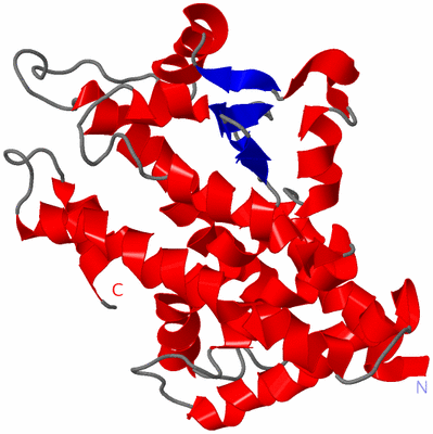 Image NMR Structure - model 1