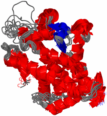 Image NMR Structure - all models