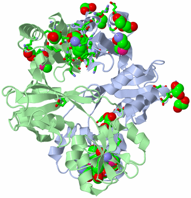 Image Biol. Unit 1 - sites